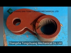 Schwing SLEWING LEVER استفاده شده برای پمپ بتنی 10018071